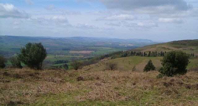 Rolling hills, a distant tree line, and a cloudy sky.