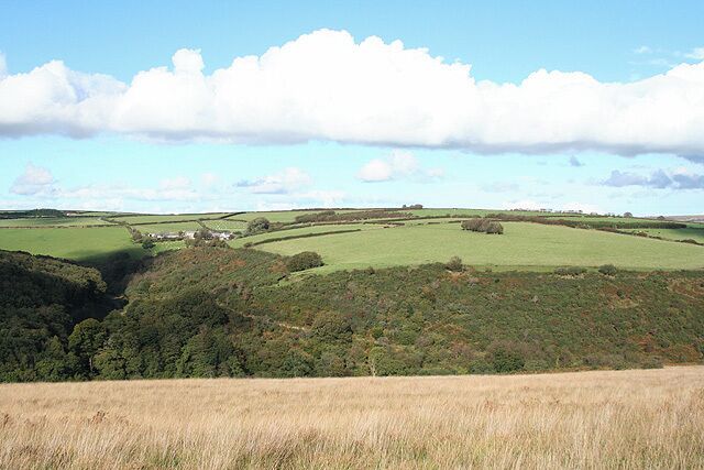 West Anstey: on West Anstey Common Looking north towards Shircombe Farm. Below the farm, nearer the camera, the Danes Brook turns through a right angle to run south-south-west past Lyshwell Wood before resuming a more easterly course. It has a confluence with the Barle near Mounsey Castle.