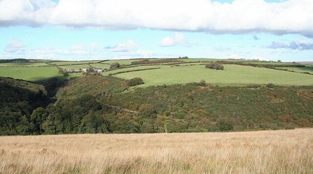West Anstey: on West Anstey Common Looking north towards Shircombe Farm. Below the farm, nearer the camera, the Daneยs Brook turns through a right angle to run south-south-west past Lyshwell Wood before resuming a more easterly course. It has a confluence with the Barle near Mounsey Castle.