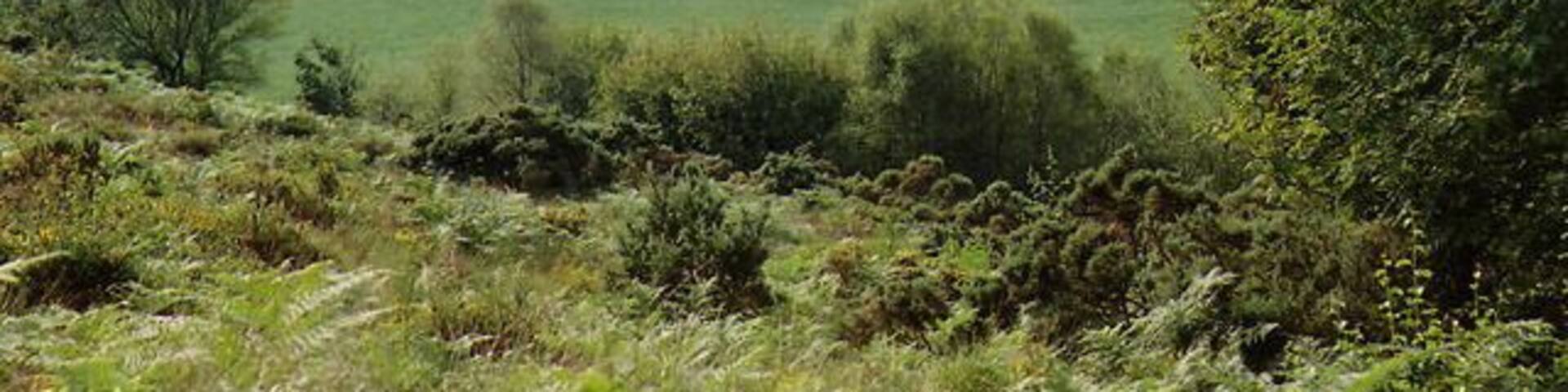 Withypool and Hawkridge: Zeal Farm. In the Danes Brook valley. Zeal once possessed waterpower with a long leat running from springs north west from Withypool Cross, which then descended by a buried pipe to a holding reservoir near the farm