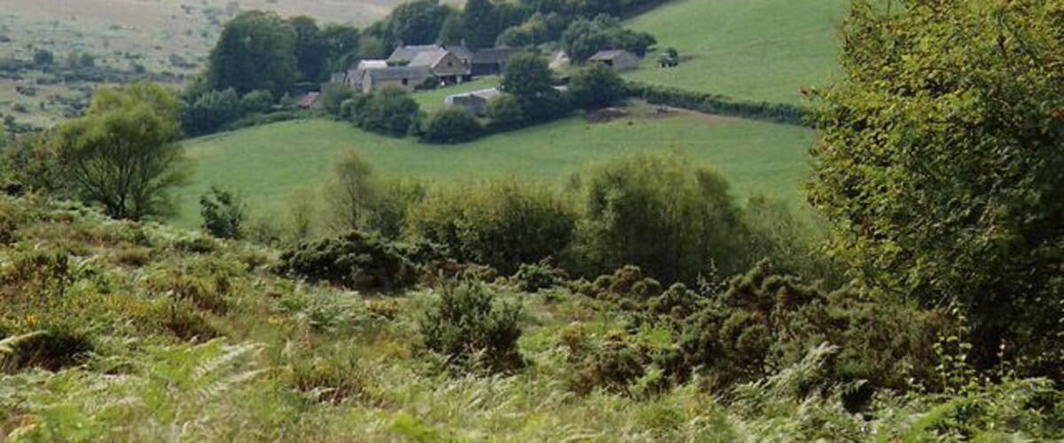 Rolling green hills, a small cluster of houses, and dense shrubbery.