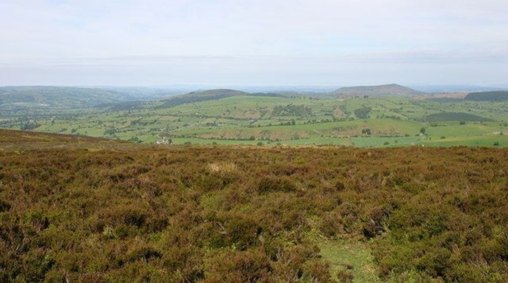 View West from Long Mount. To Heath Mynd and Corndon Hill