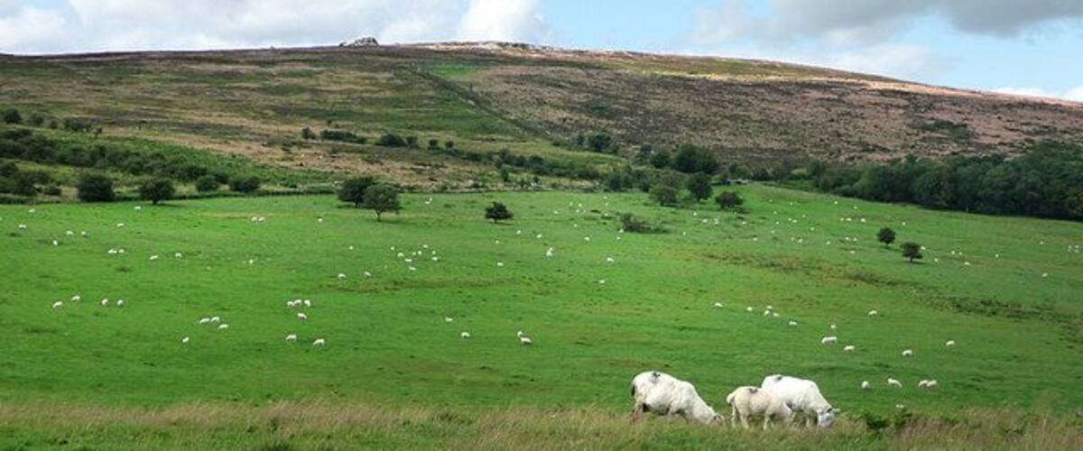 Looking towards the Stiperstones