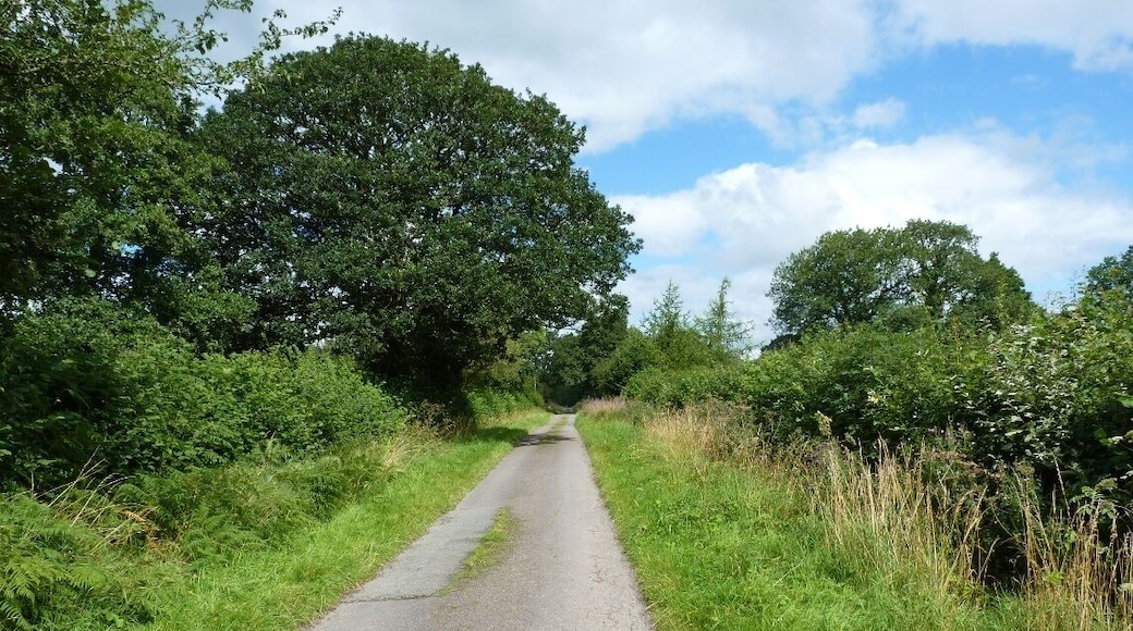 The lane across Wentnor Prolley Moor