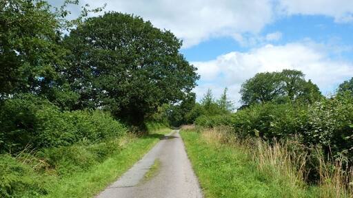 The lane across Wentnor Prolley Moor