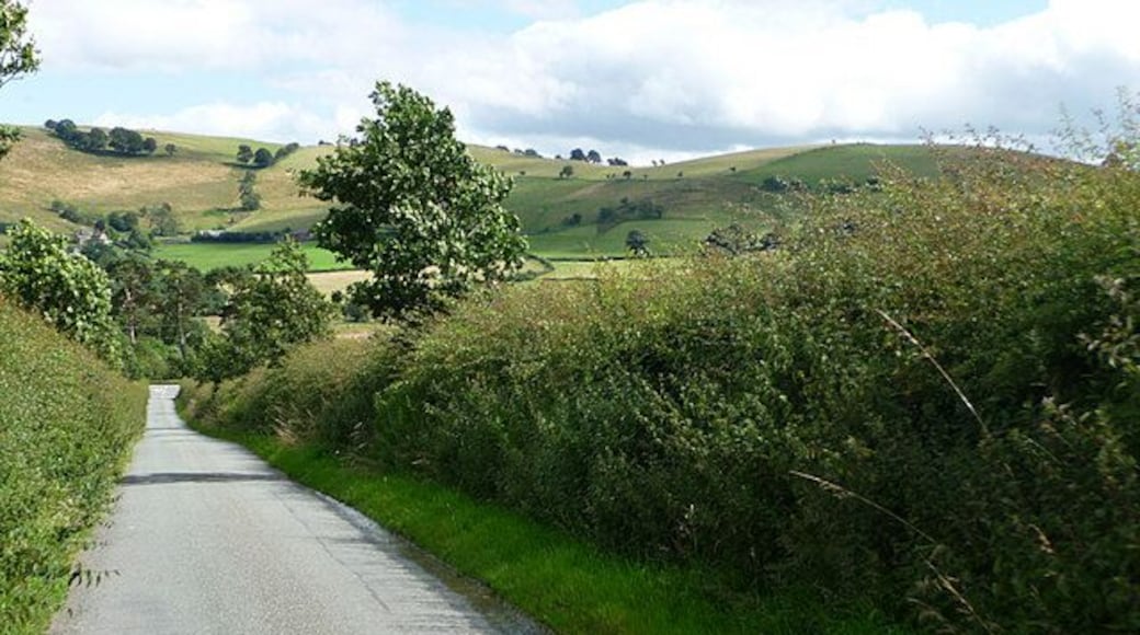Road from The Bog to Bridges Approaching junction at Bridges