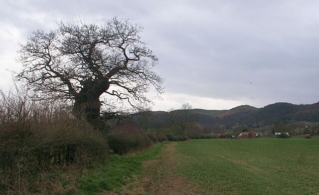 Fields of Woodend Farm Looking along the footpath towards Little Malvern Priory and the iron-age camp on Herefordshire Beacon.