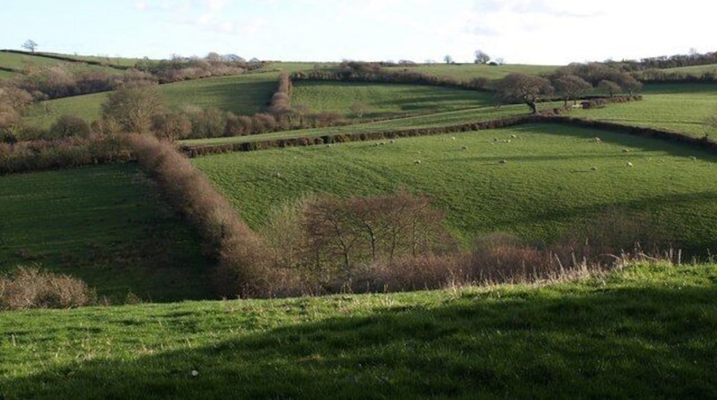 Landscape near Week St Mary Valleys and fields seen from 562/10/1, just to the east of the village. The valleys (there are three crossing the square and in the photo, the furthest being the deepest) drain past Swannacott Wood and eventually into the Neet.