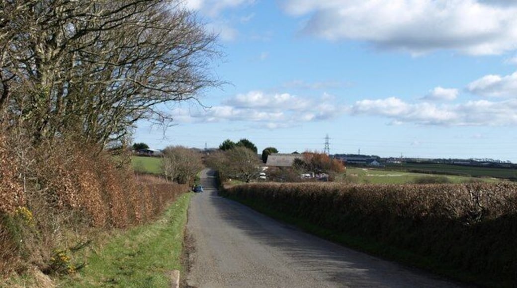 Greena Moor A fairly unwavering road crosses this part of Cornwall between straight field boundaries southeast of Week St Mary. Here it descends beside trees to pass a small commercial site.