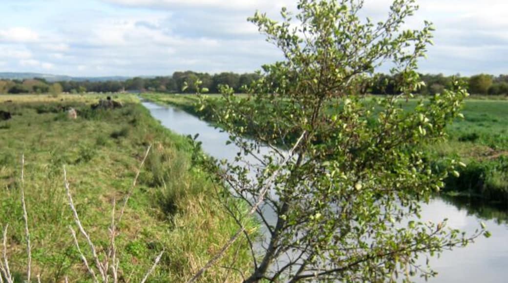 North Drain, Westhay Moor