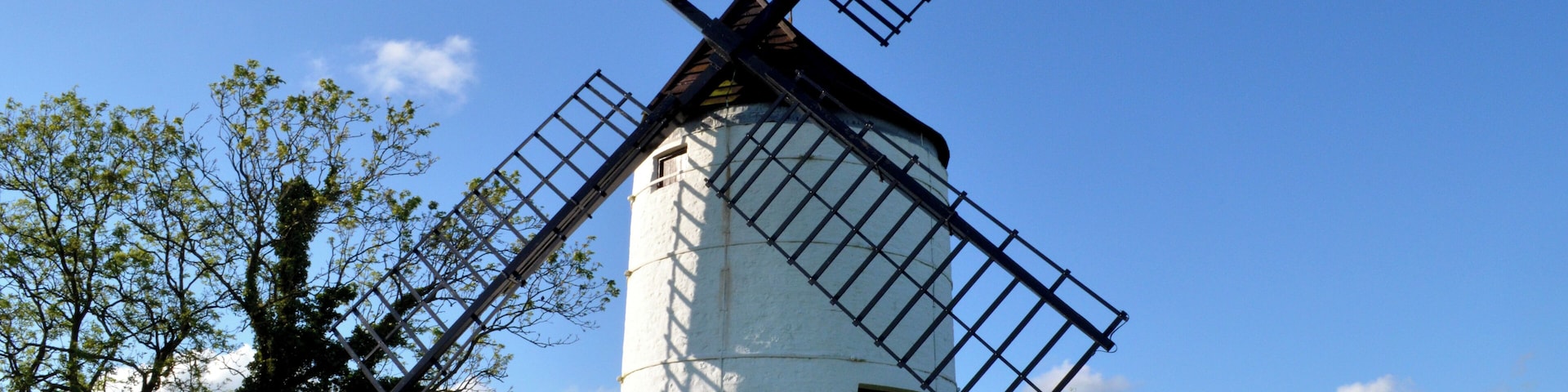 A traditional white windmill with four sails, surrounded by lush greenery and trees.