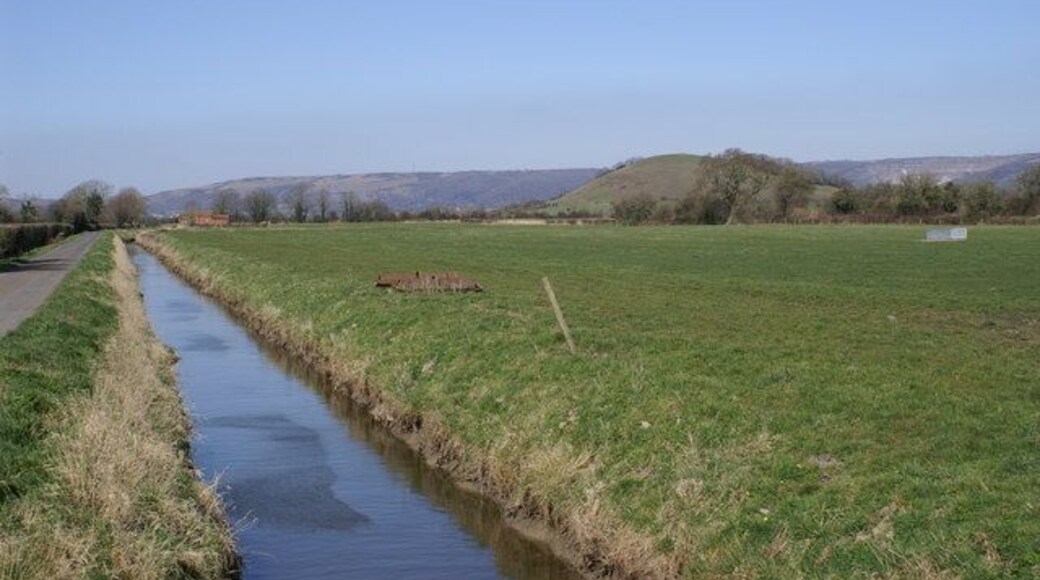 Rhyne on Stoke Moor.