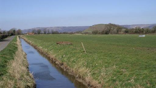 Rhyne on Stoke Moor.