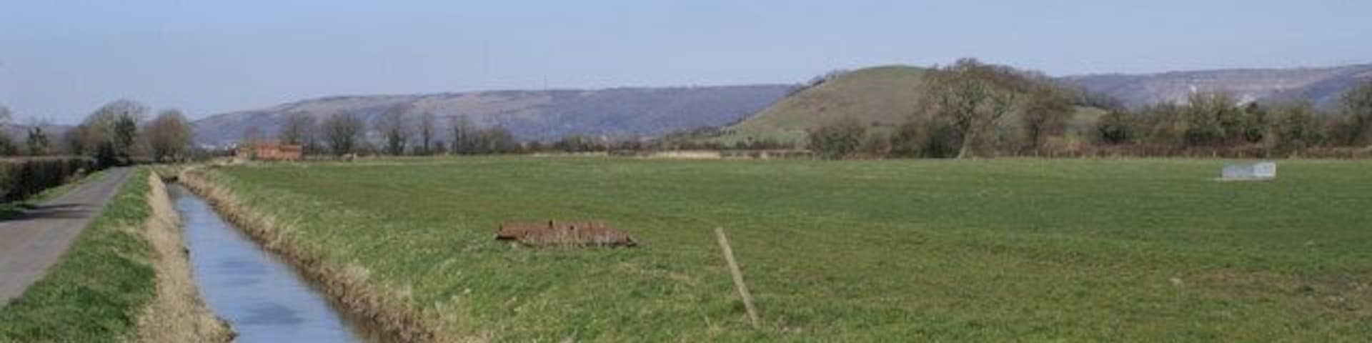 Rhyne on Stoke Moor.