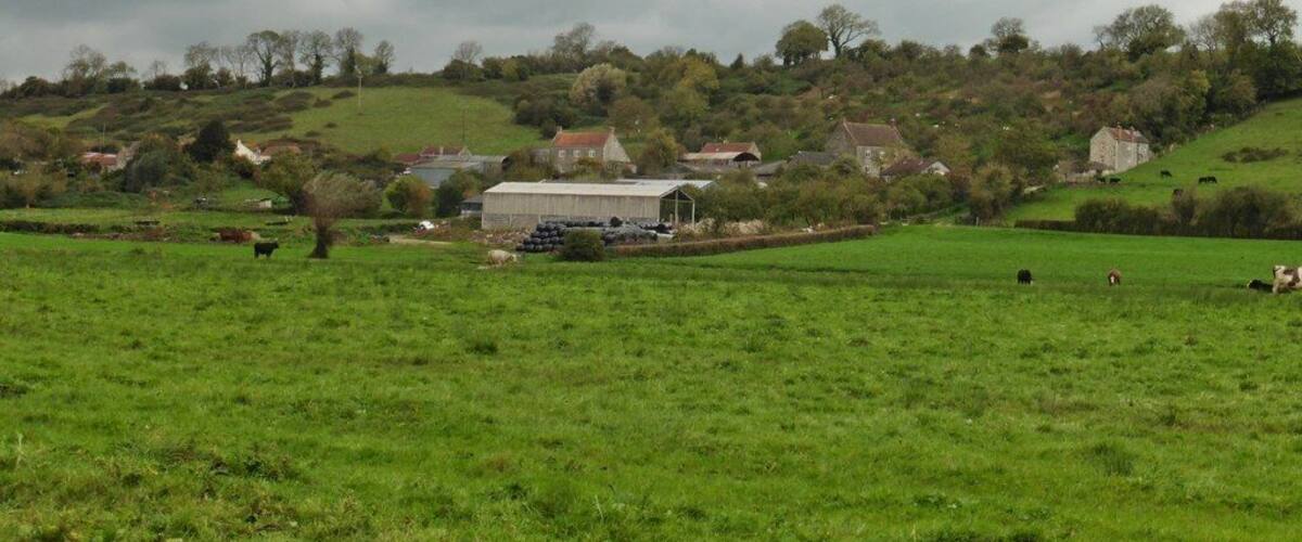 A rural landscape with rolling hills, scattered houses, and grazing cattle.