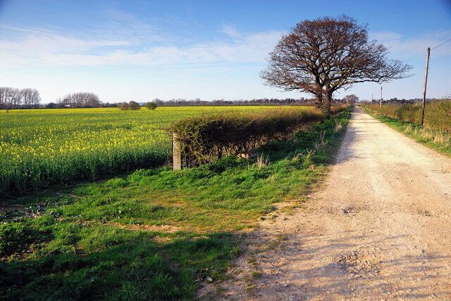 Track from Chesterton Lodge, Chesterton, near to Water Newton, Cambridgeshire, Great Britain. At the northern end of this track is the A1.