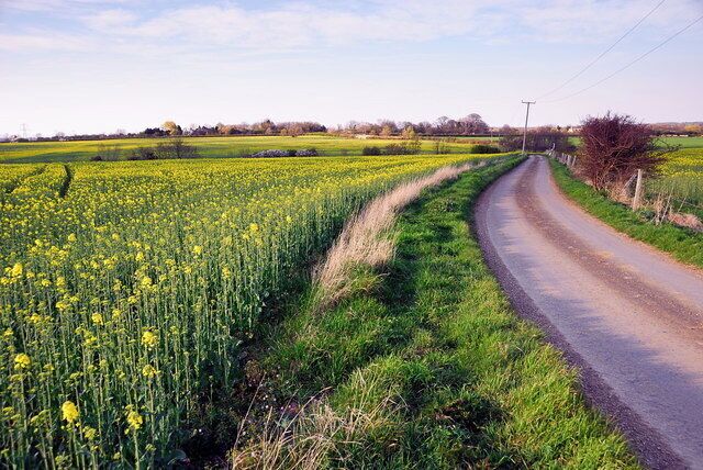 South of Water Newton, near to Water Newton, Cambridgeshire, Great Britain. A single track road, with passing places.