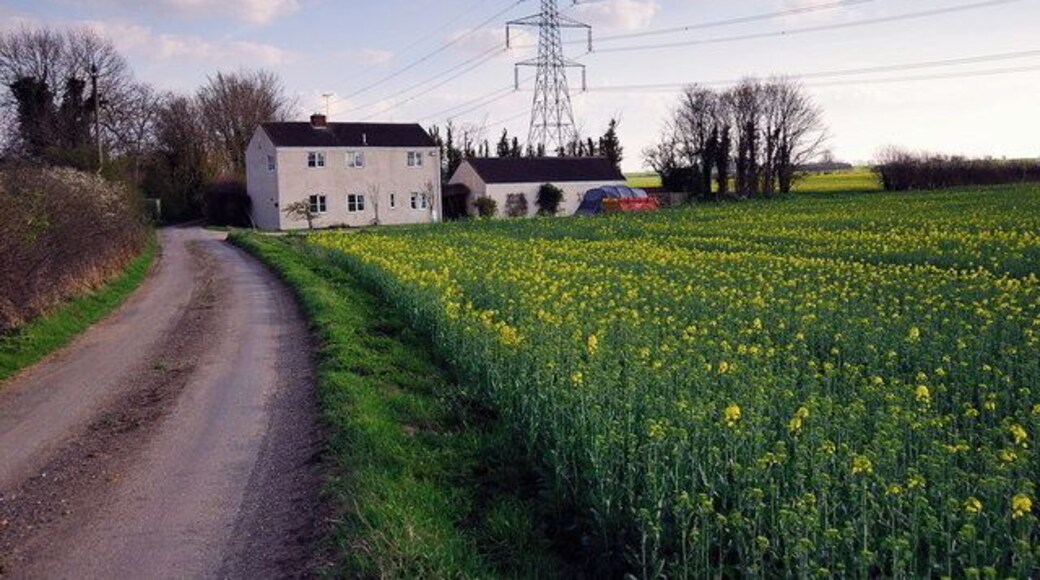Road south of Water Newton