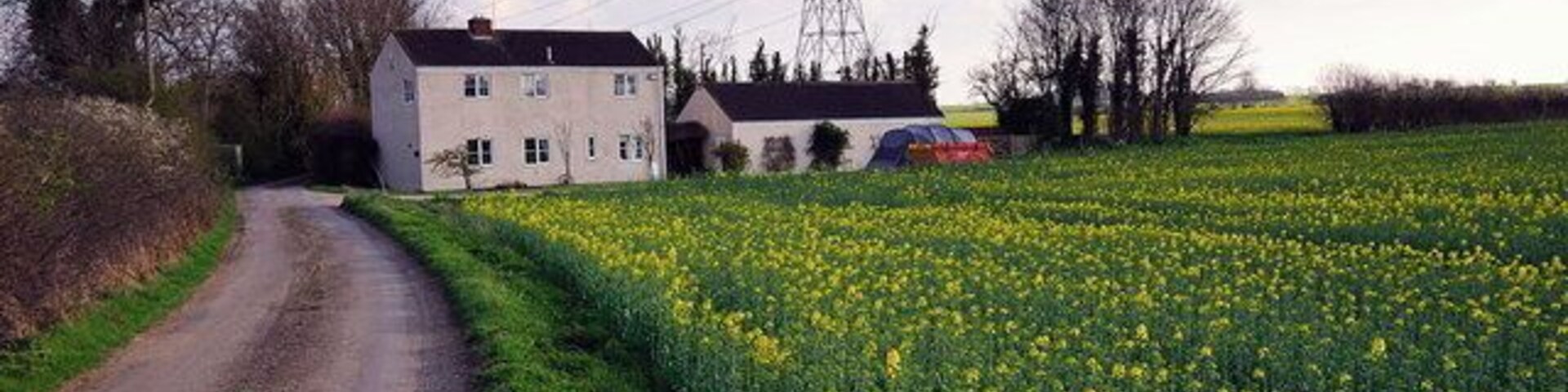 Road south of Water Newton