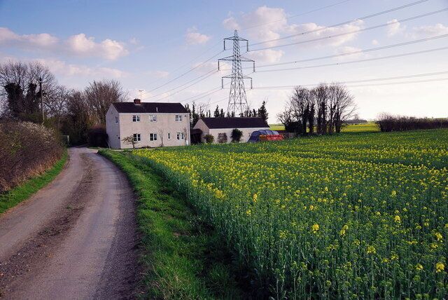 A rural road, a white house, and a field of yellow flowers.