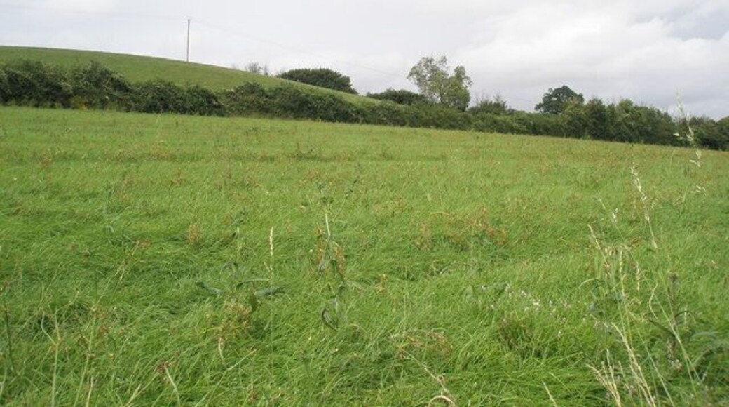 Field next to Washford Station