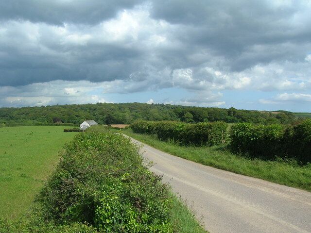 View to West Down Plantation The road here has a track to the left leading down to Treveigan Farm (not visible). To the right are fields leading down to Costislost.