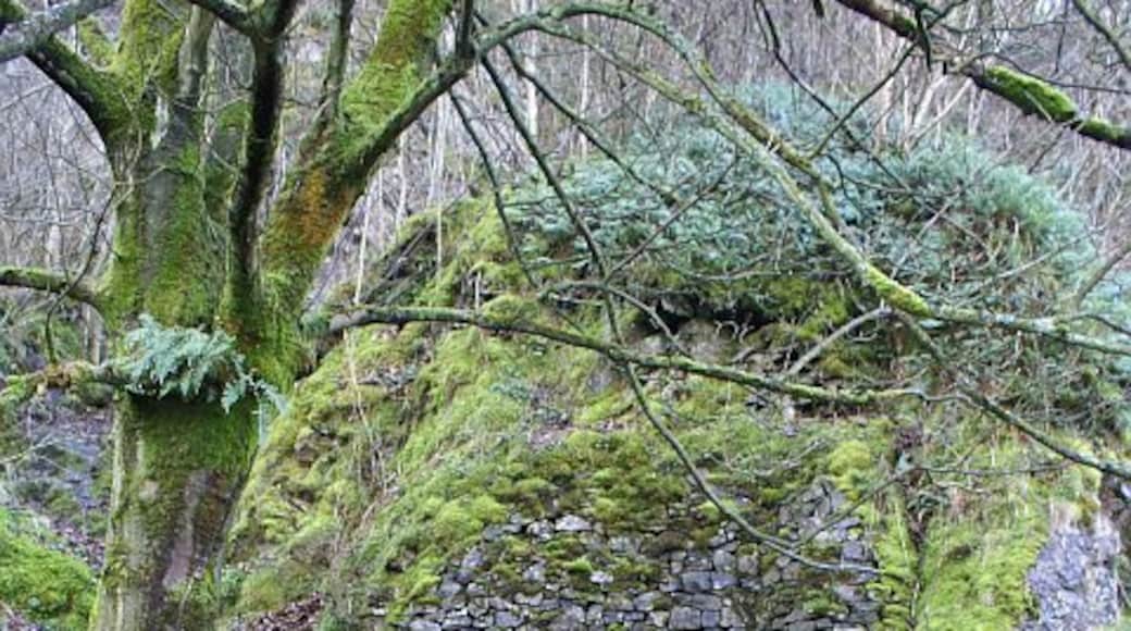 Entrance to Ecton Copper Mine Derbyshire is usually associated with lead mining. However, the area around Ecton has been mined for copper since the Bronze age. Information on this mine can be read on the plaque to the right of the entrance 326511.