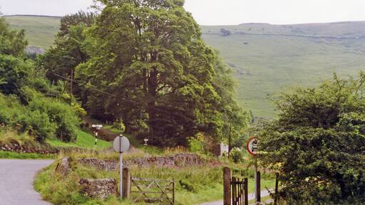 Site of Ecton station, Manifold Valley, 1993. View SE, towards Waterhouses: ex-North Stafford Railway, Manifold Light Railway, Waterhouses - Hulme End, which had a short life of 30 years and closed 12/3/34