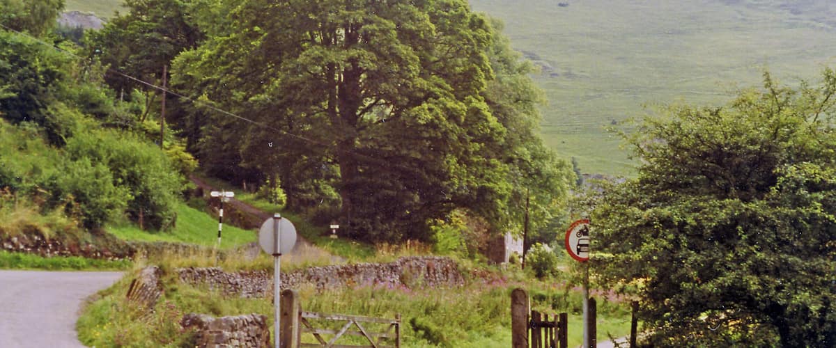 A rural road with a stone wall, a wooden gate, and a large tree.