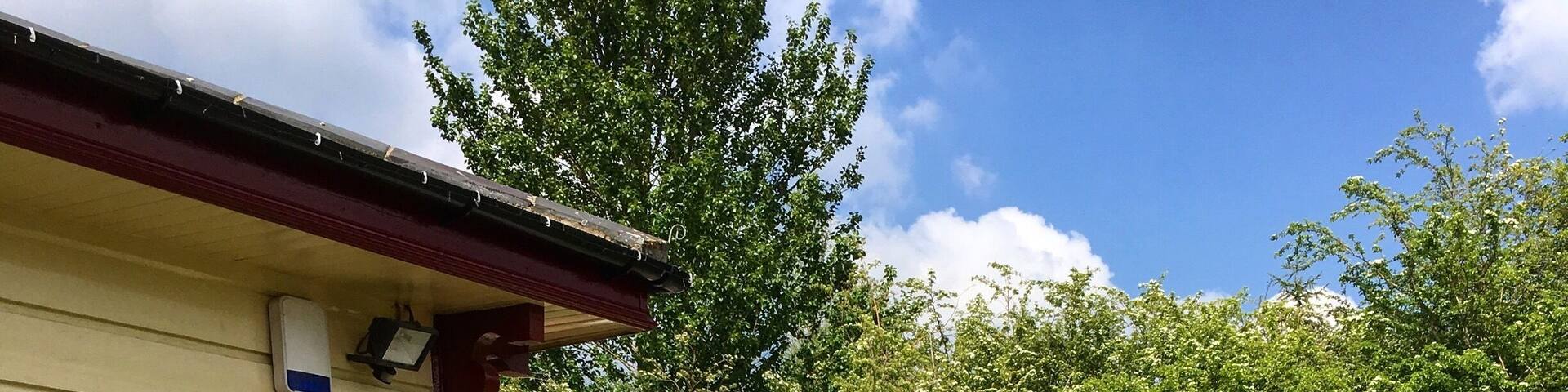 Warmley Waiting Room, serving sandwiches, cakes and ice creams halfway along the Bristol to Bath cycle path. Plus they have a TARDIS toilet!