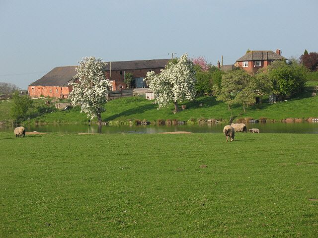 Sparrowgrove, Dragon's Lane The farmstead viewed across the 'flash' (a local term for a lake formed where land has subsided above a salt mine).