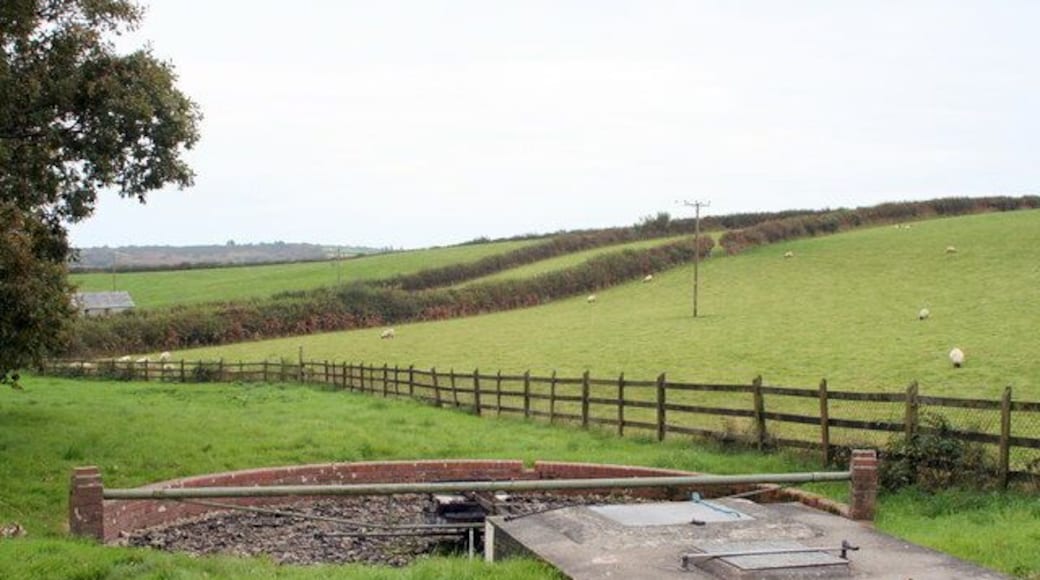 Filter bed at Mount sewage treatment works.
