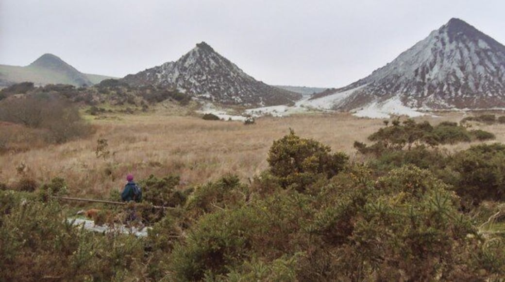 Glynn Valley Works, Cardinham Moor The prominent waste heaps which can be seen in the distance from the A30 at Temple. They are mainly of sand which was a by product of china clay extraction