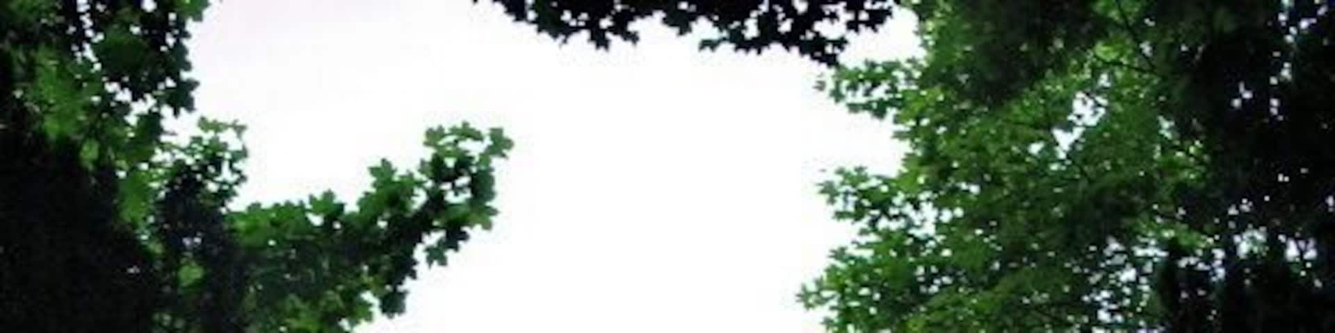 All Saints Church, Waltham