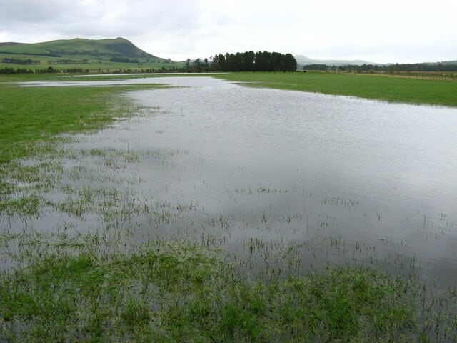 A flooded field with green grass and a distant hill.