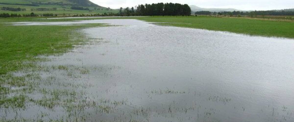 A flooded field with green grass and a distant hill.