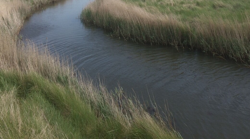 A lovely 6 mile walk around Dunwich with some stunning views!