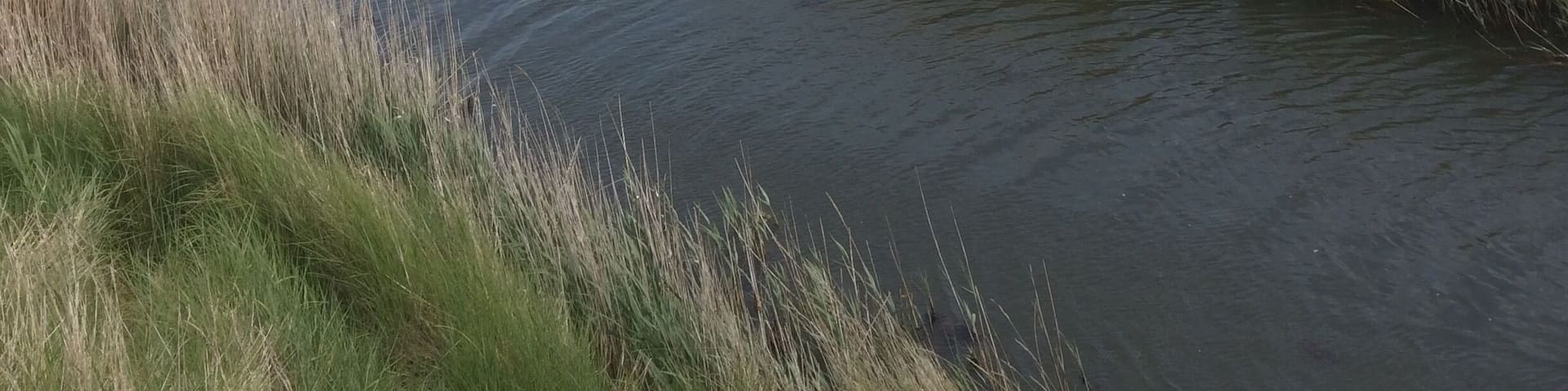 A lovely 6 mile walk around Dunwich with some stunning views!