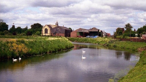 Wainfleet All Saints - River Steeping