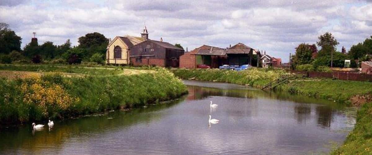 A calm river with swans, a church, and residential buildings.