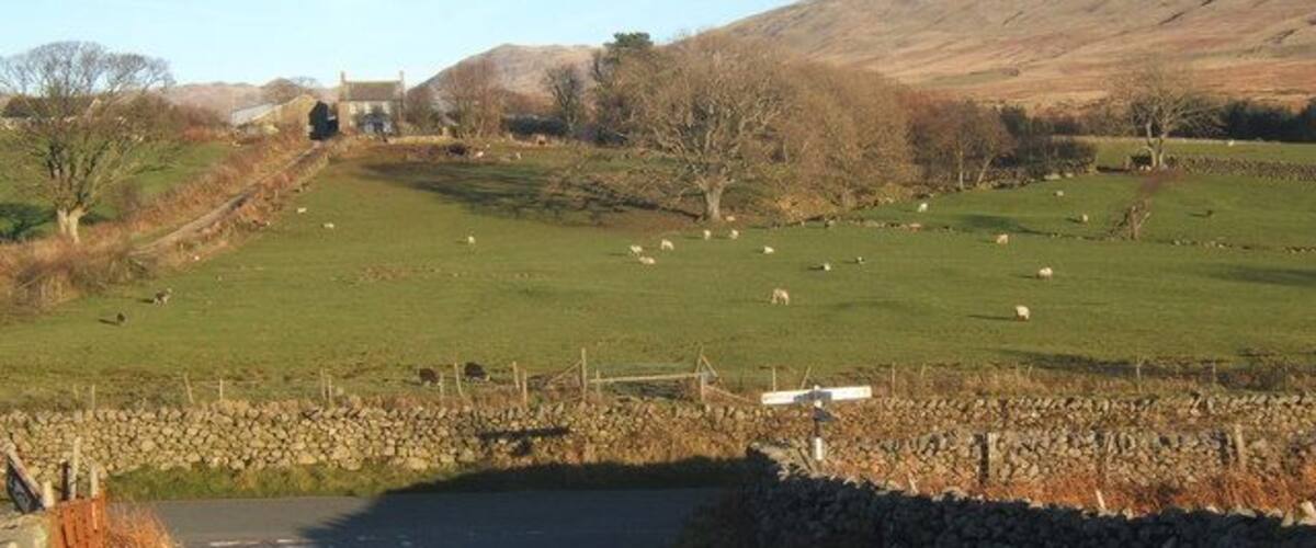 Un paysage rural avec un pont de pierre enjambant un cours d’eau étroit, des champs verdoyants et des moutons qui paissent.