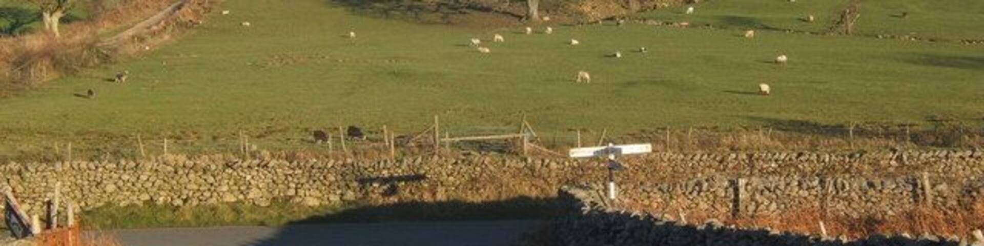 A rural landscape with a stone bridge over a narrow waterway, green fields, and sheep grazing.
