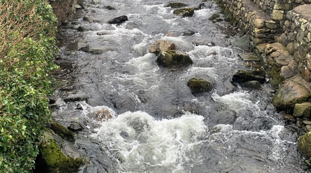 Overflow river