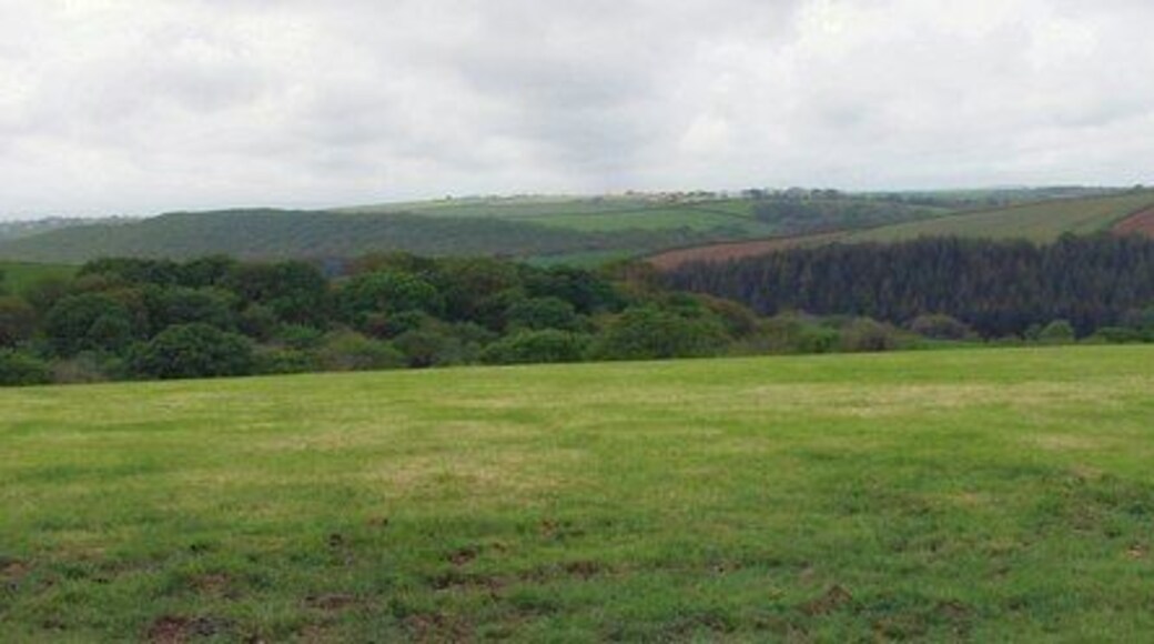 Ashwater Wood Looking over the fields to Ashwater Wood the far side of the River Carey.