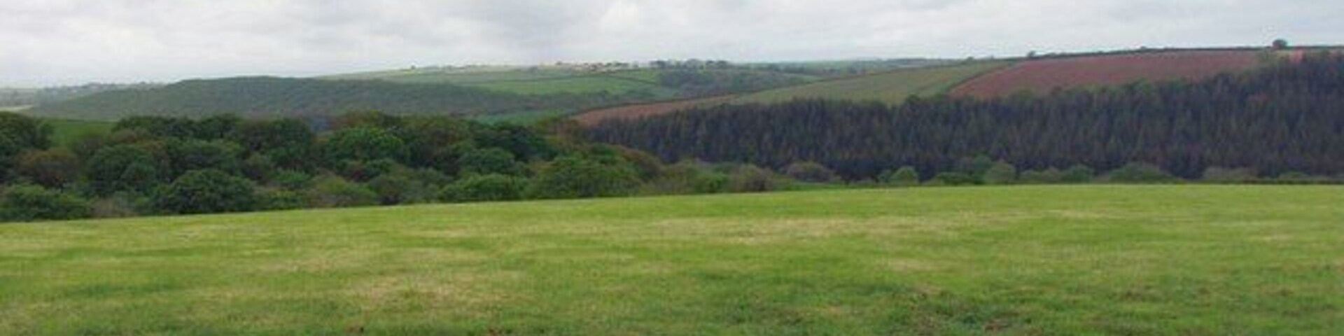 Ashwater Wood Looking over the fields to Ashwater Wood the far side of the River Carey.