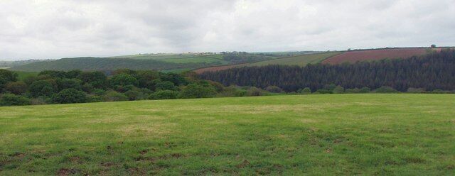A grassy field with rolling hills and a forest in the background.