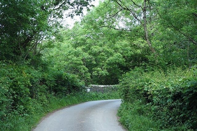 Virginstow: in the Carey valley Lane with a bridge over the old railway line to Launceston and Wadebridge. Looking north east