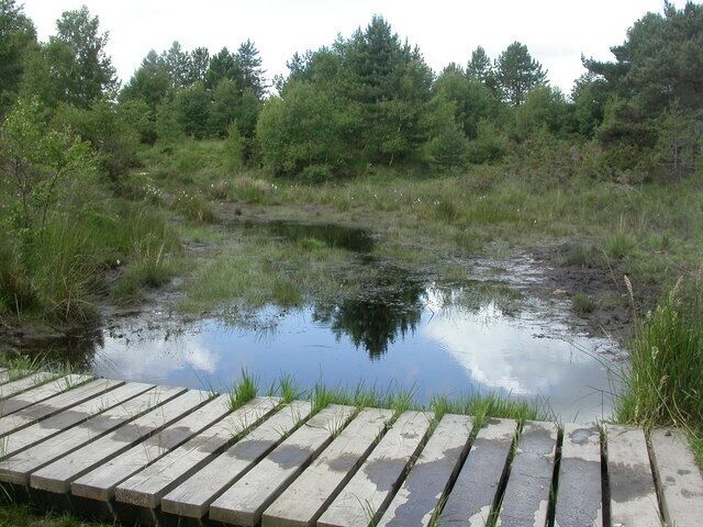 Stephen's Castle, pond. One of two ponds in 1354255, probably formed by old gravel & sand workings; home to dragonflies, damselflies, sundews & cottongrass.