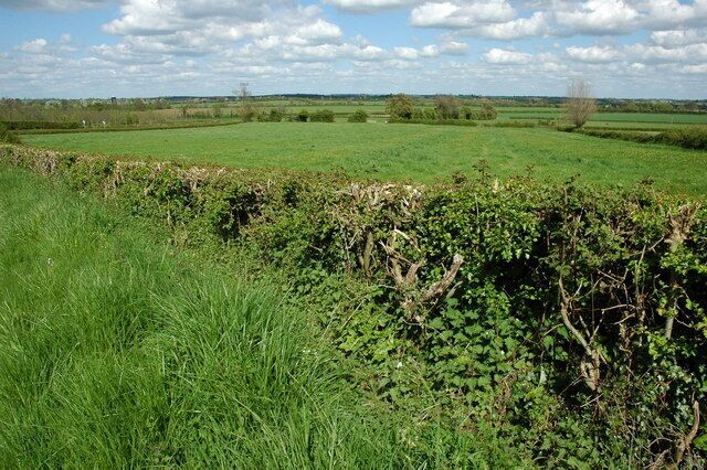 Grazing land at Cowsden