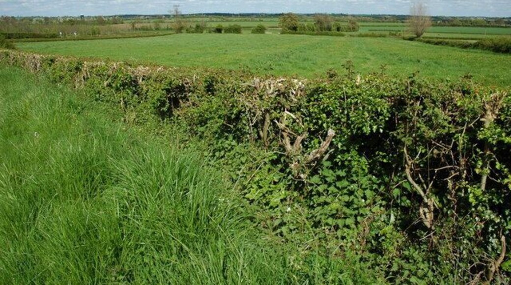 Grazing land at Cowsden